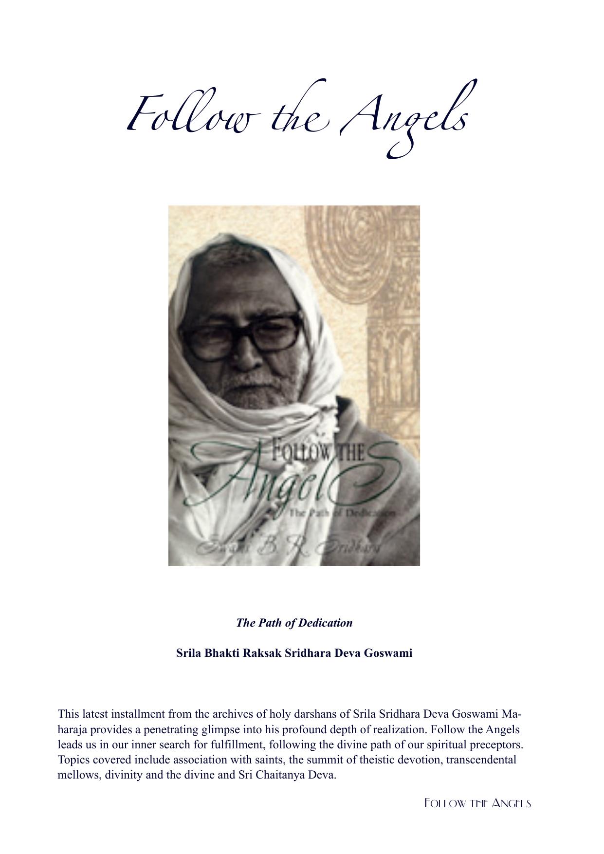 Follow the Angels cover